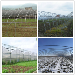 Q345 Pre-Galvanized Steel Pipe for Greenhouse