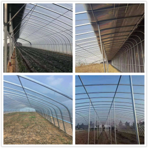 Good quality China 0.8-2.0mm Thickness Round Greenhouse Pre Galvanized Steel Pipe