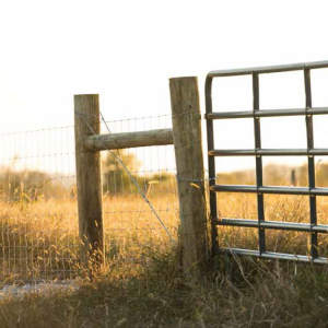 Various Livestock Farm Fence with Good Quality