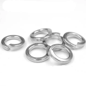 Carbon Steel Stainless Steel Spring Washer Made In China