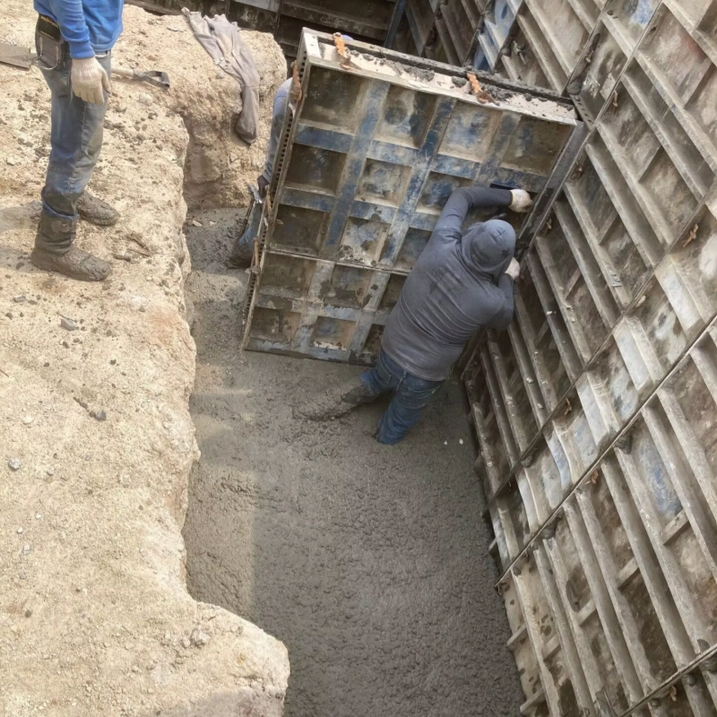 Aluminum Formwork Wall Tie020